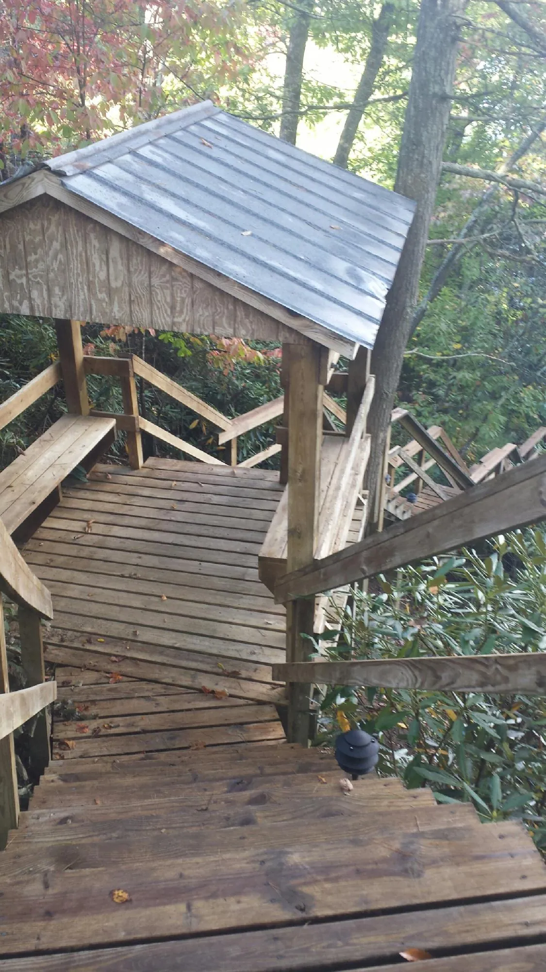 Metal roofed shelter over wooden steps on a wooded walkway — Skylight Repair & Installation work by our crew in Pinewood